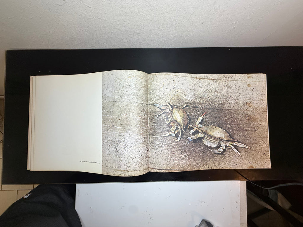 Jericho: The South Beheld – Hubert Shuptrine & James Dickey